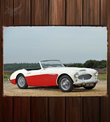 Металлическая табличка Austin Healey 100 6 (BN4)